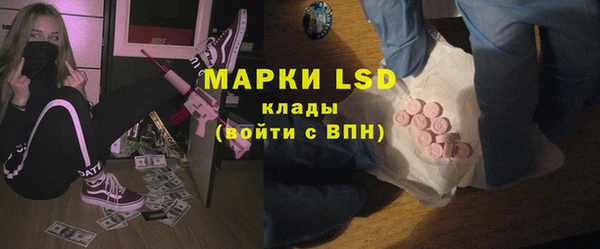 PSILOCYBIN Гусев