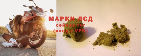 сатива Дмитров
