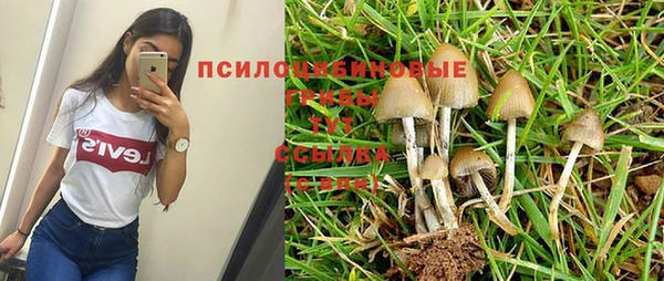 бошки Гусиноозёрск