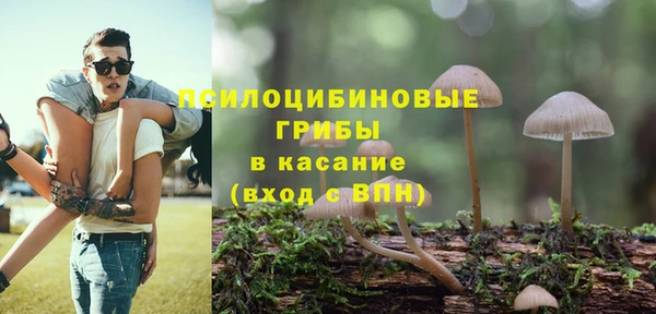 PSILOCYBIN Гусев