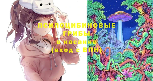 метадон Калининец
