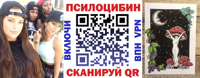 Купить  Заволжск  Галлюциногенные грибы MAGIC MUSHROOMS 